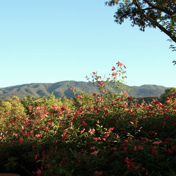 Family Compound
