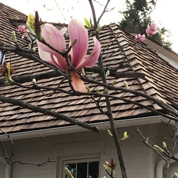 Cedar Shake Roofing by FireRock
