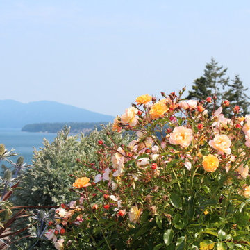 Anacortes Wa backyard