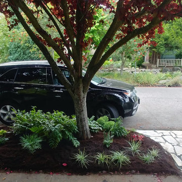 Green Lake Parking Strip