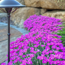 timotep's Ideas
