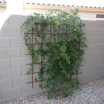 Plantings - 1.5 Years
