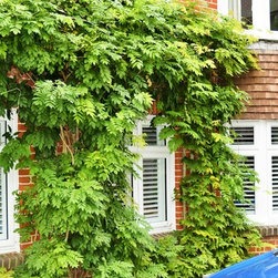 Beautiful Shutters in Canford Cliffs Poole interior - Interior Shutters