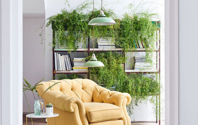 10 Ways to Display Hanging, Trailing & Cascading Plants Indoors