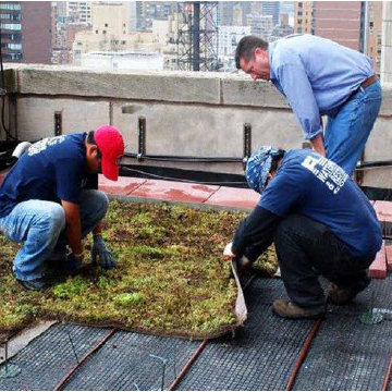 Flag Waterproofing & Restoration Roofing Experts Contractors Local Law 10 11