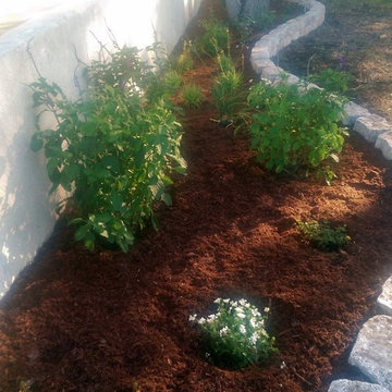 Gulfport landscape renovations