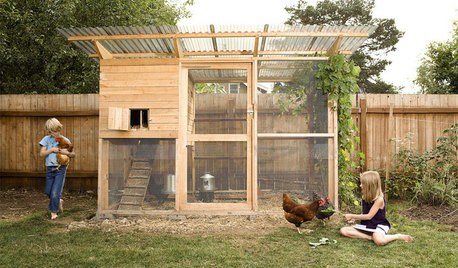 Guest Picks: 20 Finds to Cluck About