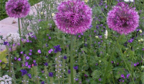 How to Grow Your Own Cut Flower Garden