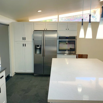 Kitchen Remodel/Renovation