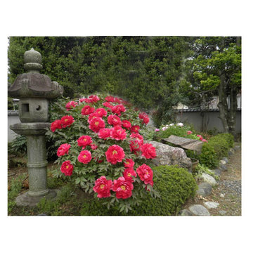 空間を創造する