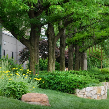 Beth El on Old Georgetown Rd, Bethesda