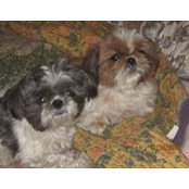 Kim Lehl's photo