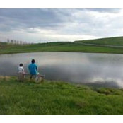 Asem Hamads foto