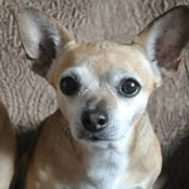Meg Merwin's photo