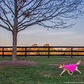 Paula Clagett's photo