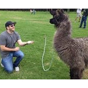 Andrew Goodman's photo