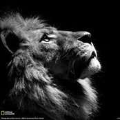 Atul Joshi's photo
