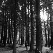 Matt Malphas's photo