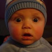 Tobie Helman's photo