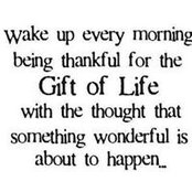 Laura Gamboa's photo