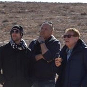 יורם שייר's photo