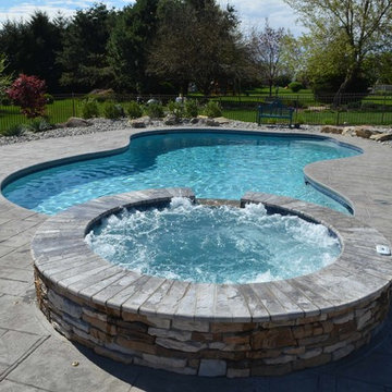 Freeform style in-ground salt water pool with raised spa
