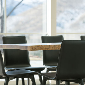 Mountain Modern