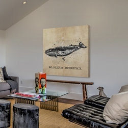 Baleine - Products