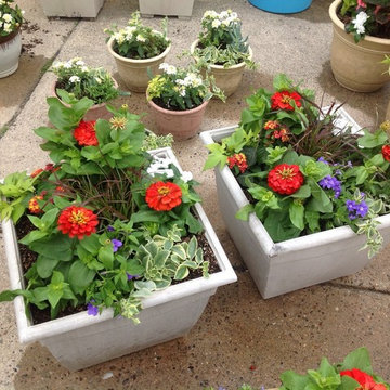 Container Gardens