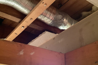 Shower ceiling repair