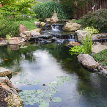Beautiful Ponds in Downers Grove