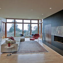 Traditional Rug/Contemp Furniture