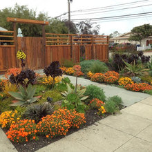 Leung's backyard inspiration