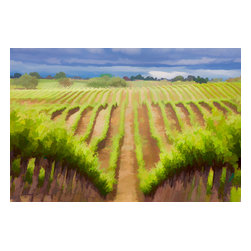 Douglas Page Photographic Arts - Vineyard Horizon, Canvas Giclee, 24"x16" - Prints And Posters