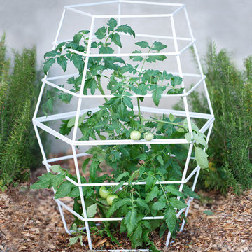 Modern Tomato Cage & Plant Support