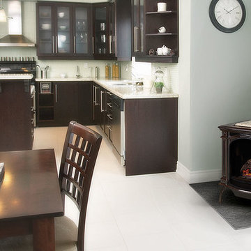 Napoleon Bayfield Gas Stove