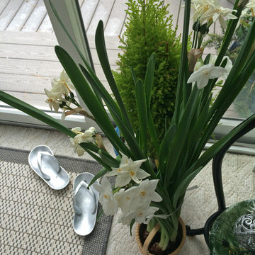 Decking the Halls_Seasonal Design