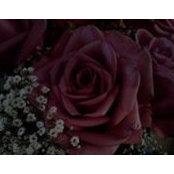 Marie Depault's photo