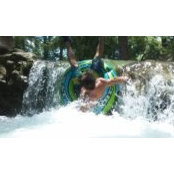 Paul Colavecchia's photo