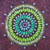 Buffy Pittar's photo