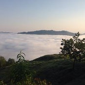 Mirna Cerecedo Villalobos's photo