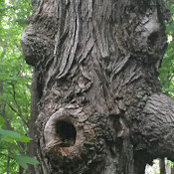 Mindy Rechelbacher's photo