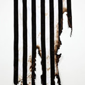 Annie Bonds foto