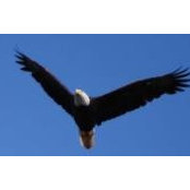 Jill Vaaler-Jore's photo