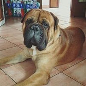 Foto de Giulio Lorena
