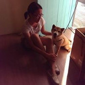 DanDan Lus foto