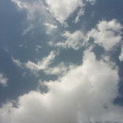 elnaz mgdm's photo