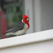 Sue Long's photo