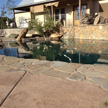 Liquid FX Pools - Paul and Trish Project
