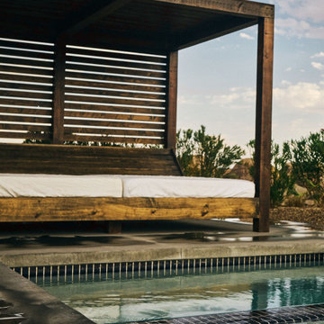 Barn Swallow Glass Pool